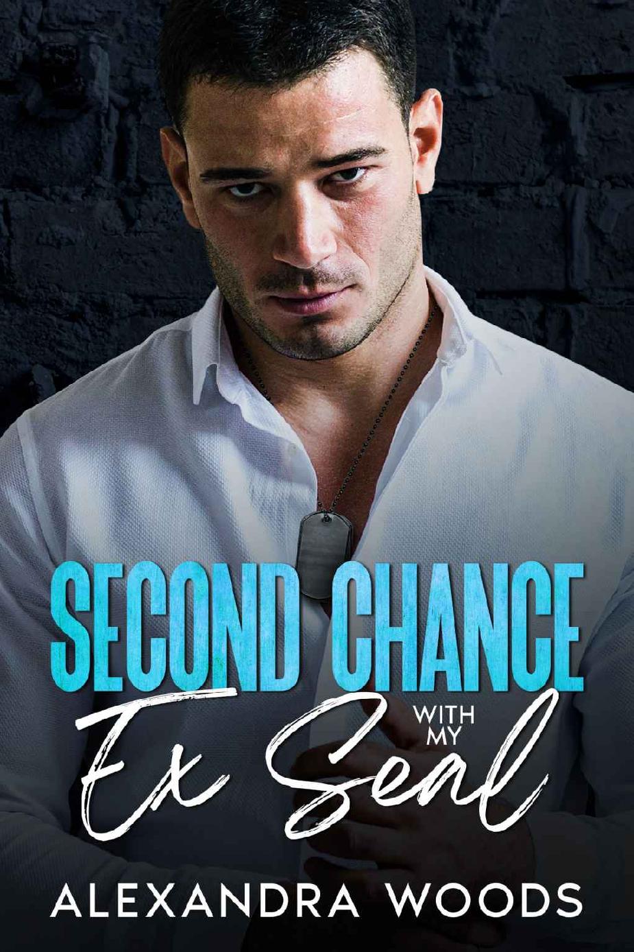 Second Chance With My Ex Seal A Best Friends Brother Surprise Pregnancy Romance Alexandra Woods
