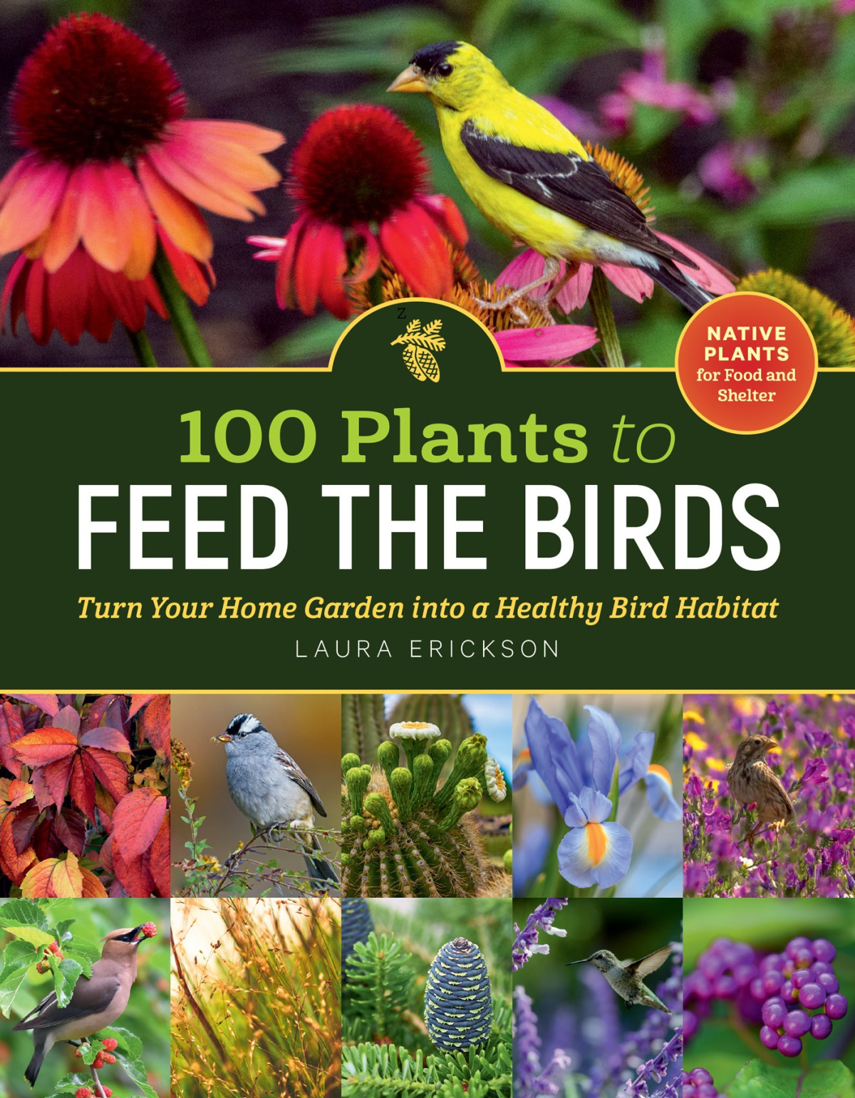 100 Plants To Feed The Birds Laura Erickson