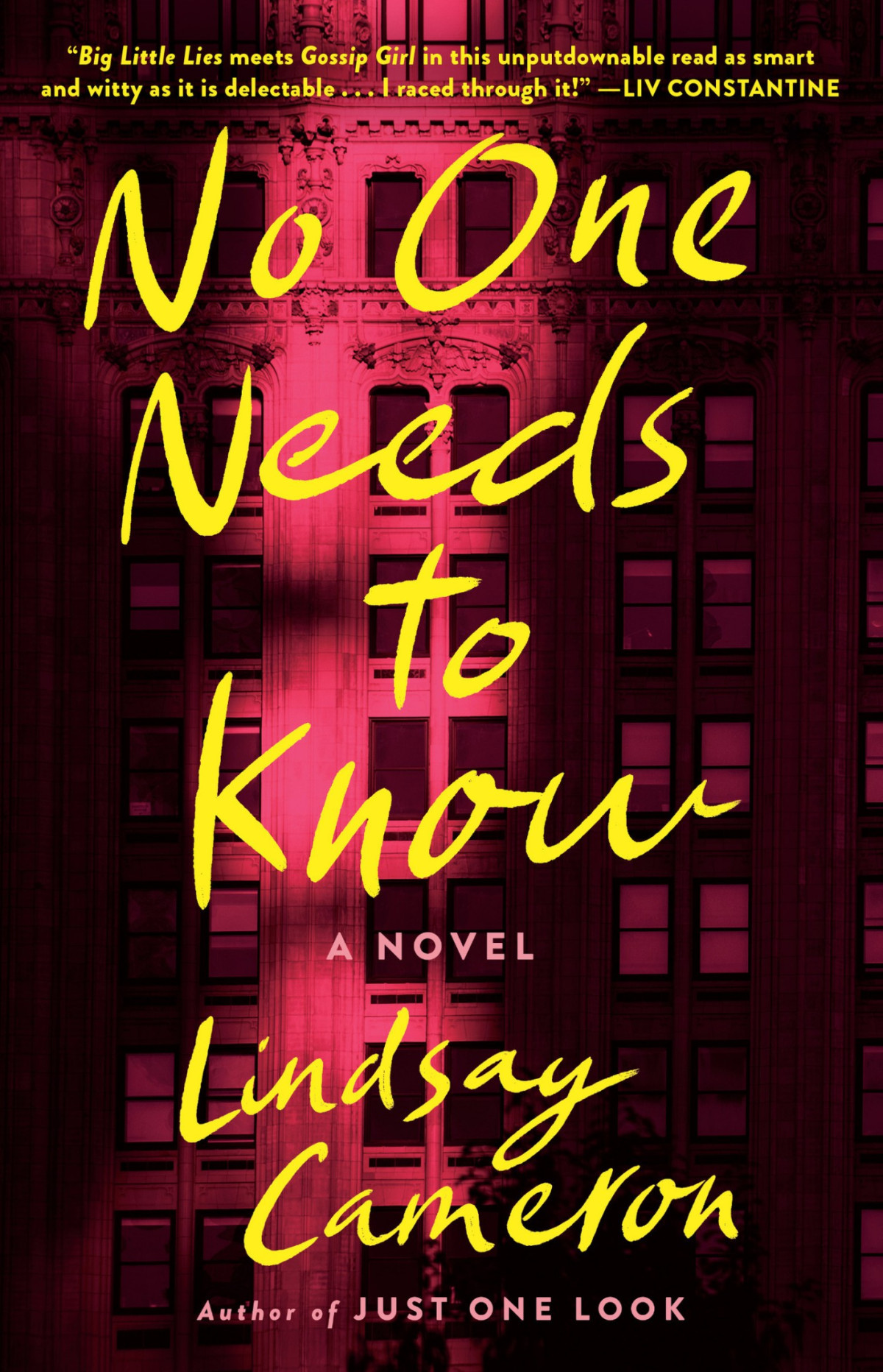 No One Needs To Know A Novel Lindsay Cameron