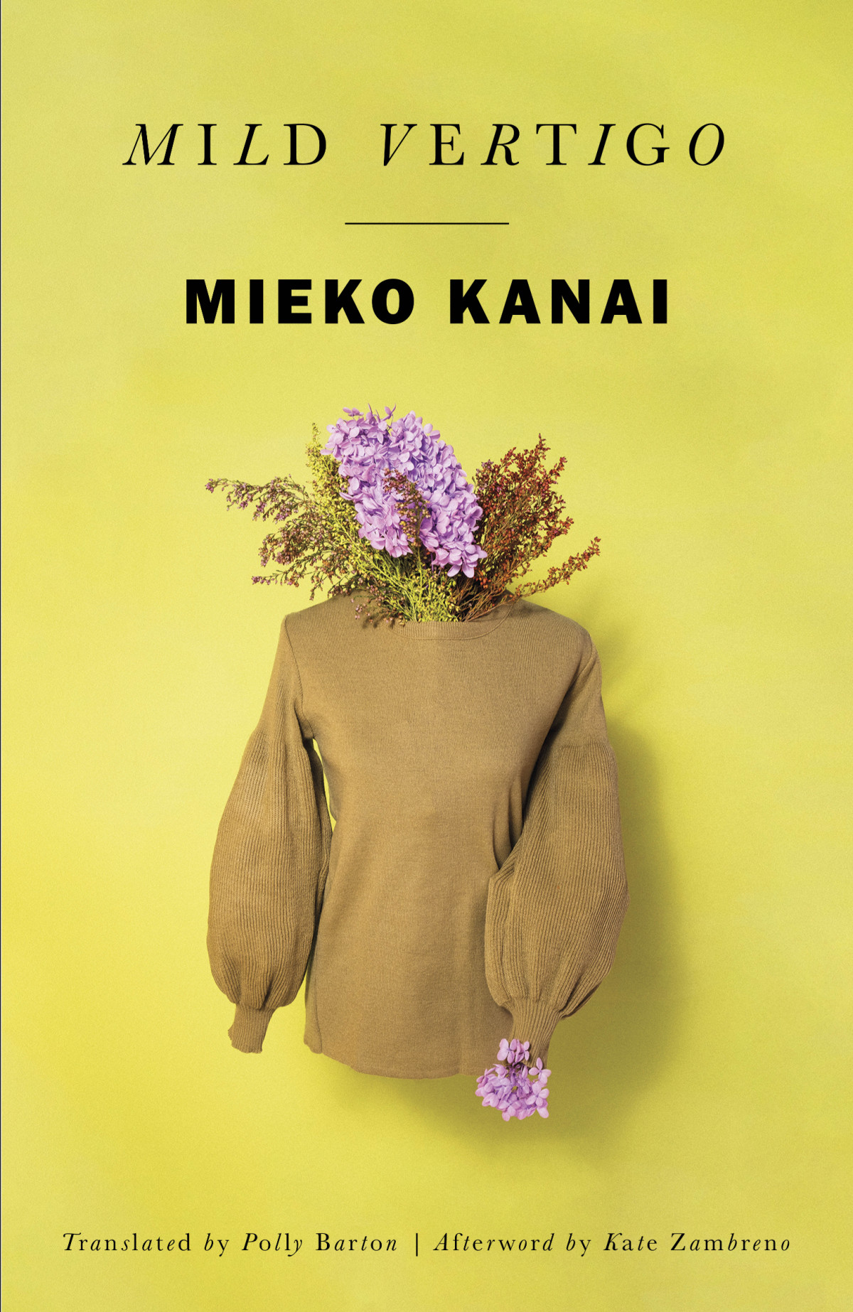 Mild Vertigo Karui Memai Mieko Kanai Polly Barton Translation
