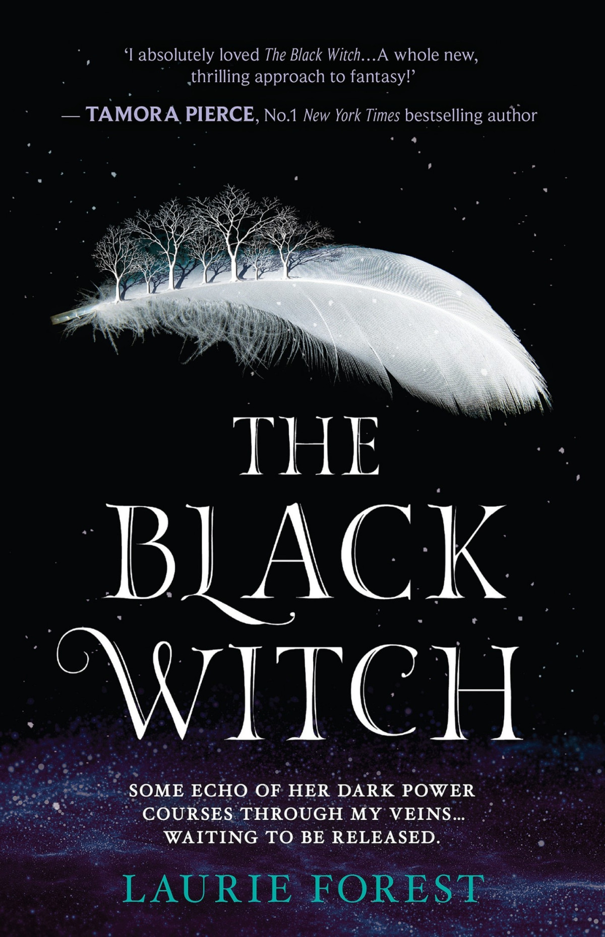 The Black Witch Laurie Forest