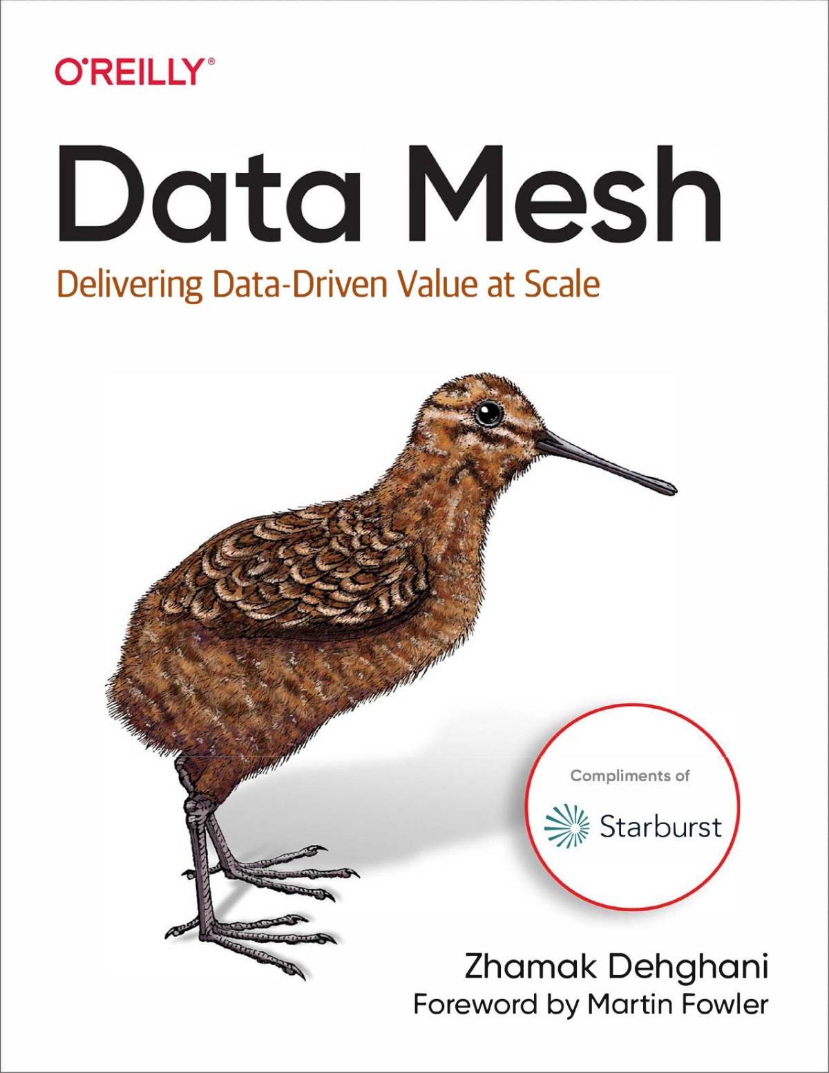 Data Mesh Delivering Data Value In Scale Zhamak Dehghani