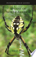Spiders Of North America Sarah Rose