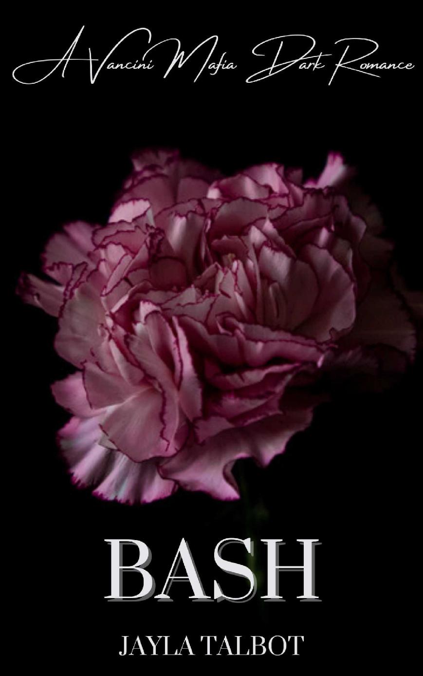 Bash A Vancini Mafia Dark Romance Vancini Mafia Series Book 3 Jayla Talbot