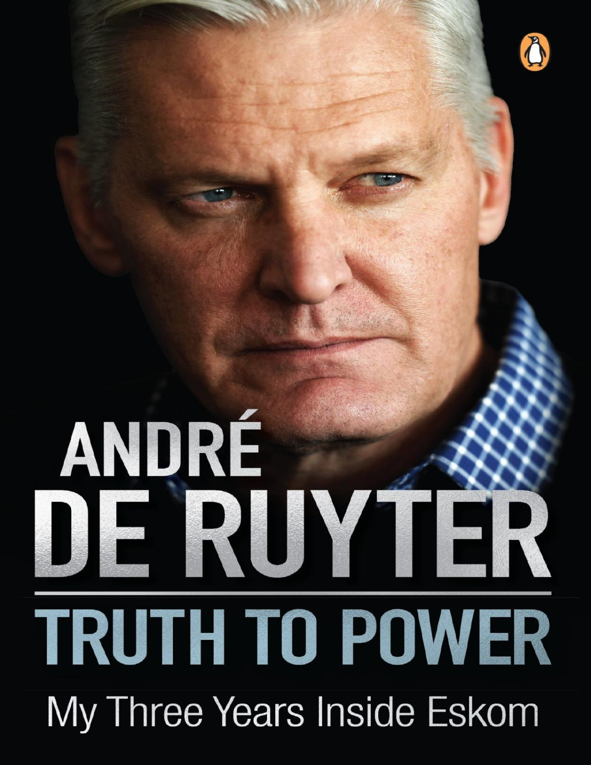 Truth To Power My Three Years Inside Eskom 1st Edition Andr De Ruyter