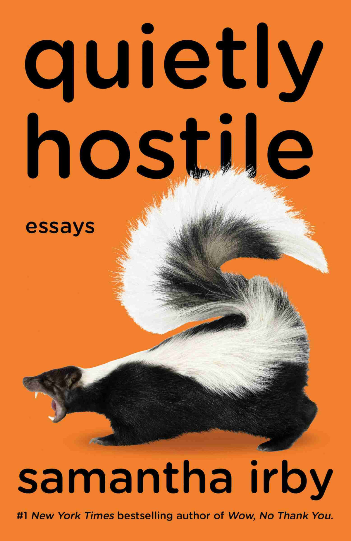 Quietly Hostile Essays Samantha Irby