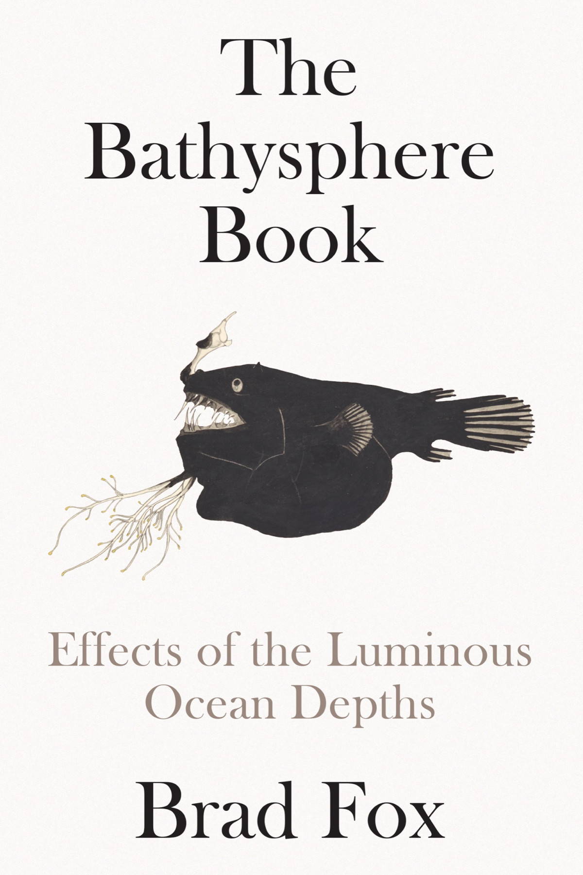 The Bathysphere Book Effects Of The Luminous Ocean Depths Brad Fox