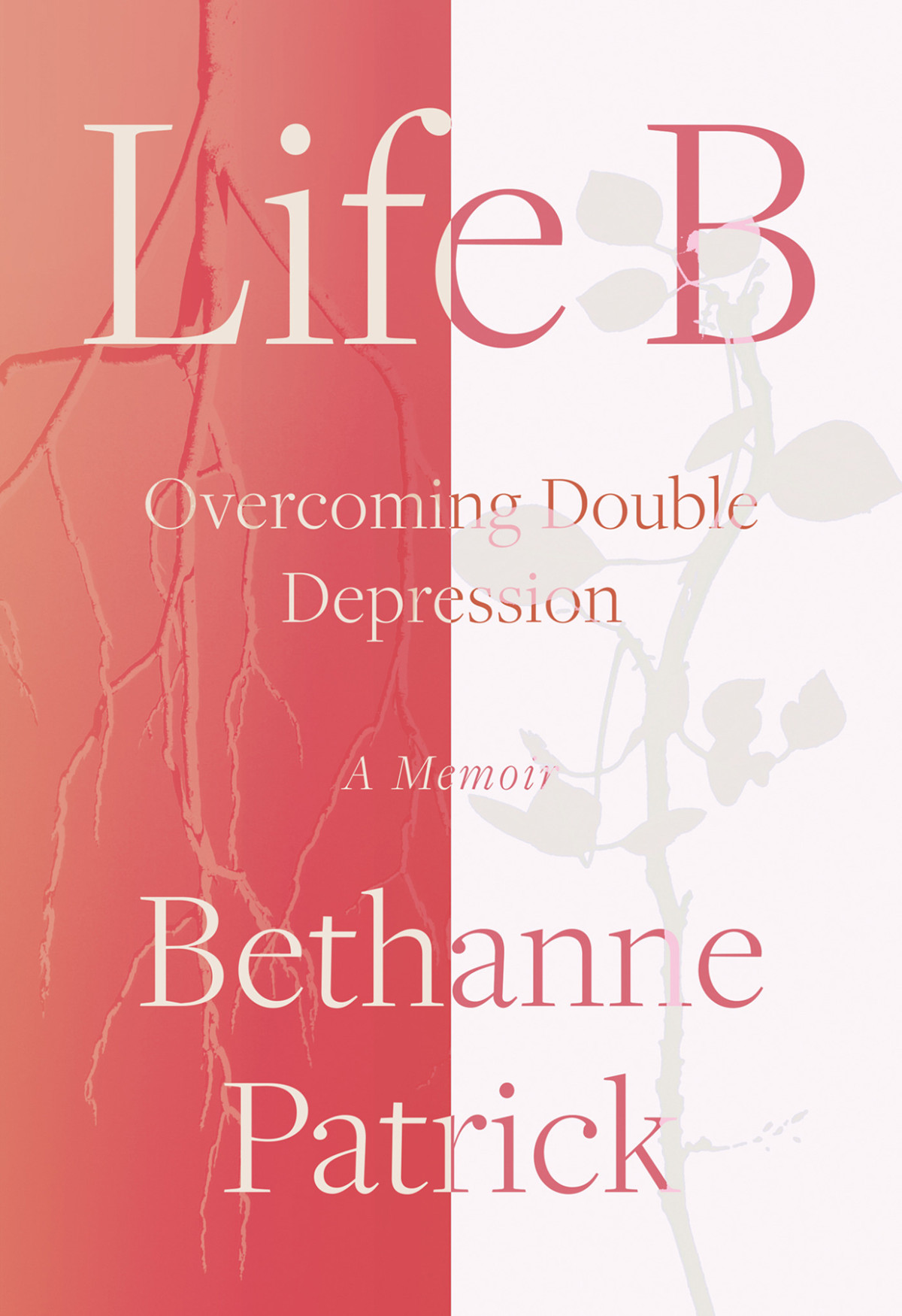 Life B Overcoming Double Depression A Memoir Bethanne Patrick