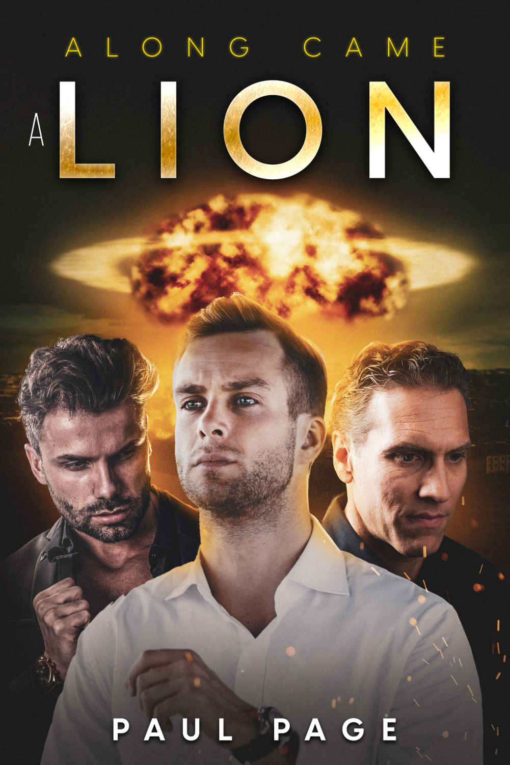 Along Came A Lion Paul Page