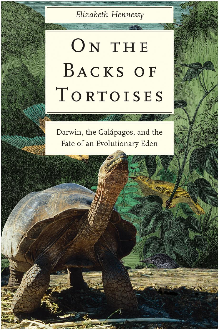 On The Backs Of Tortoises Darwin The Galapagos And The Fate Of An Evolutionary Eden Elizabeth Hennessy