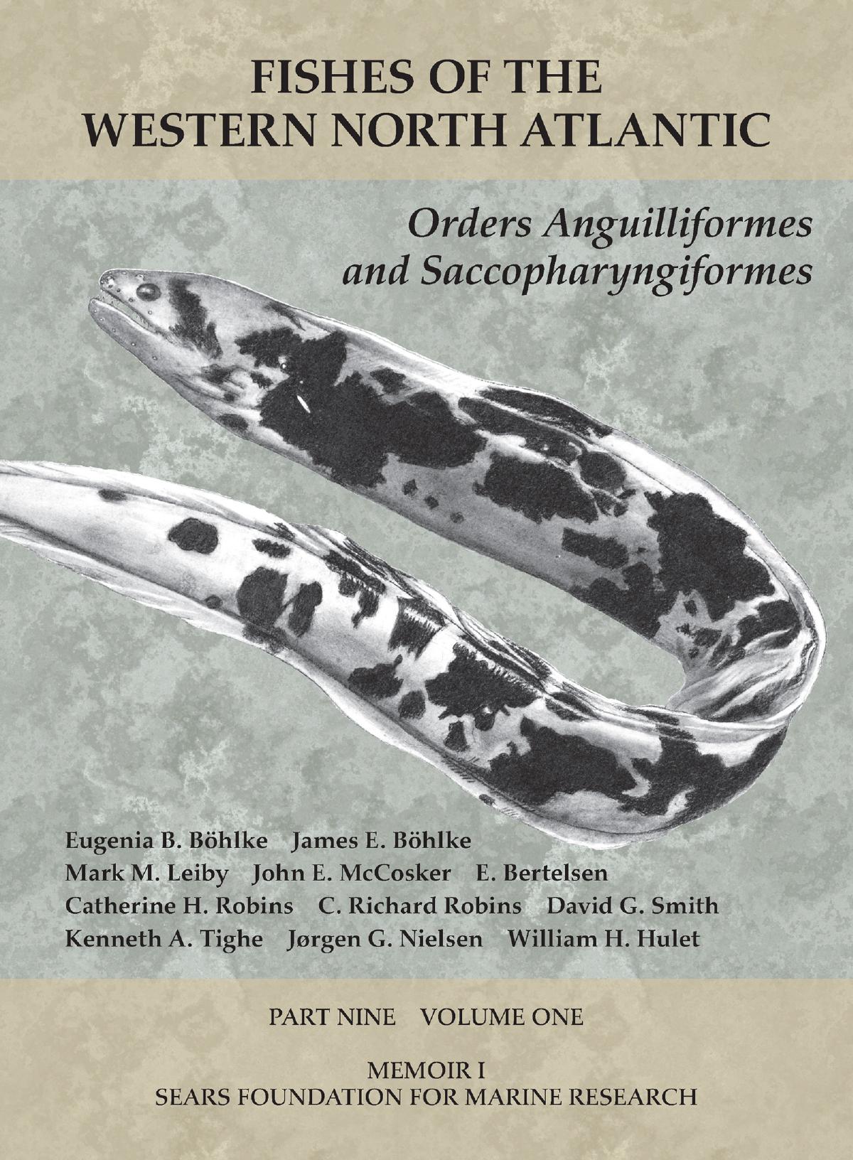 Fishes Of The Western North Atlantic Part Nine Volume 1 Order Anguilliformes Anguillidae Heterenchelyidae Moringuidae Eugenia B Bhlke