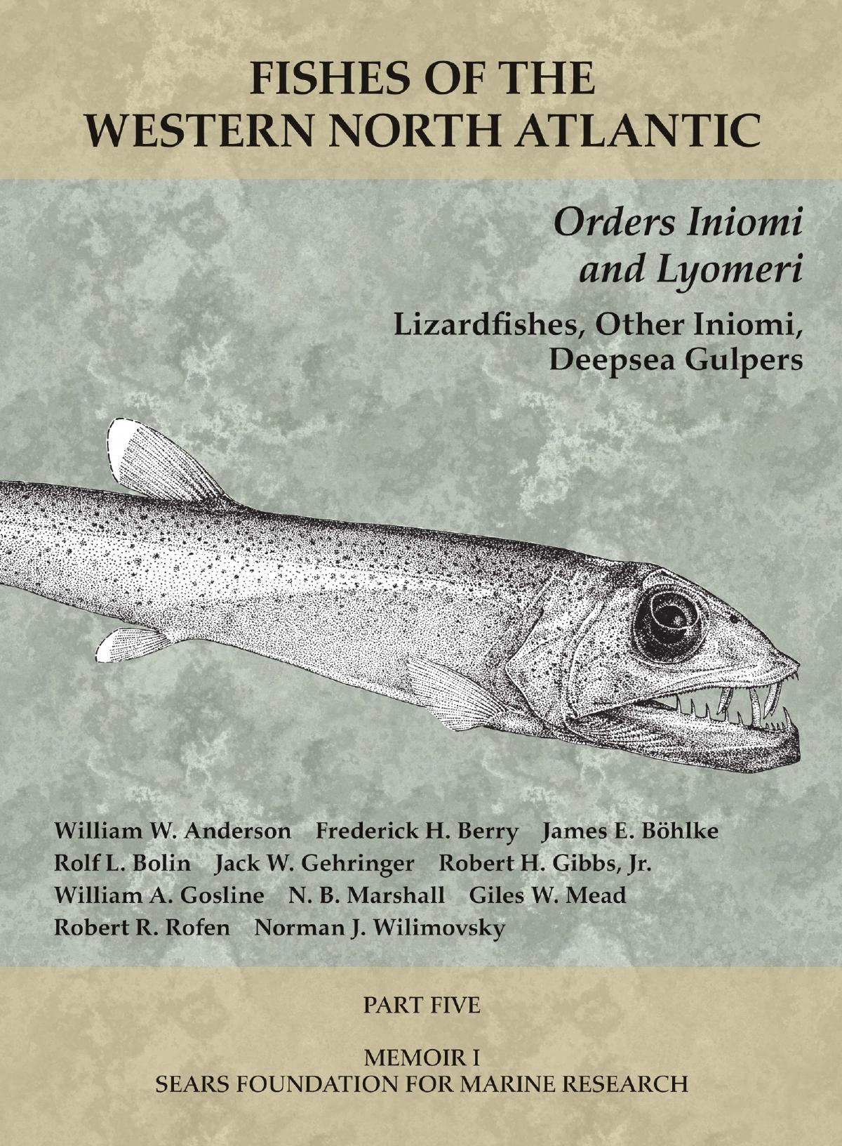 Fishes Of The Western North Atlantic Part 5 Order Iniomi Order Lyomeri William W Anderson