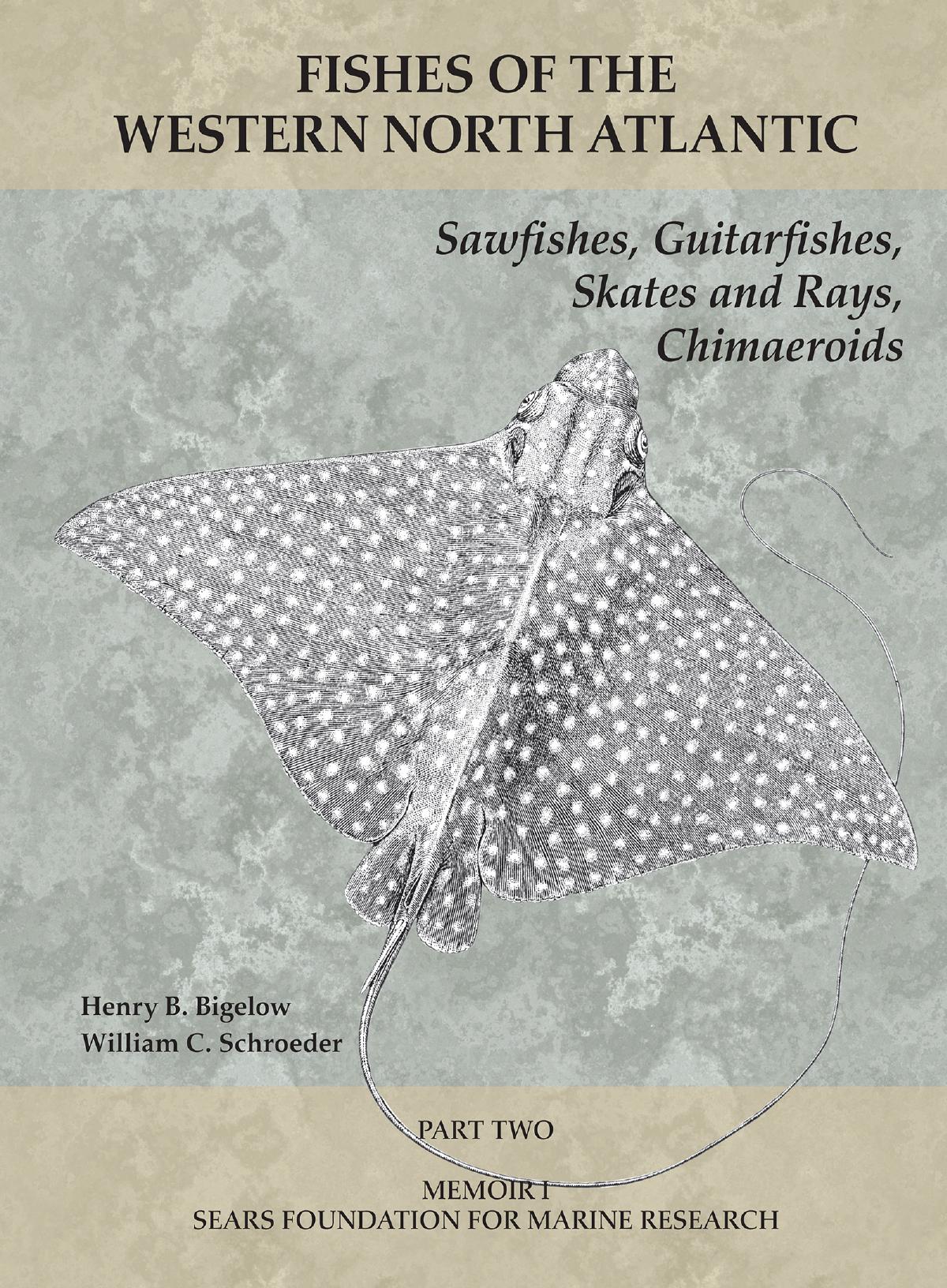 Fishes Of The Western North Atlantic Part 2 Sawfishes Guitarfishes Skates And Rays Chimaeroids Henry B Bigelow