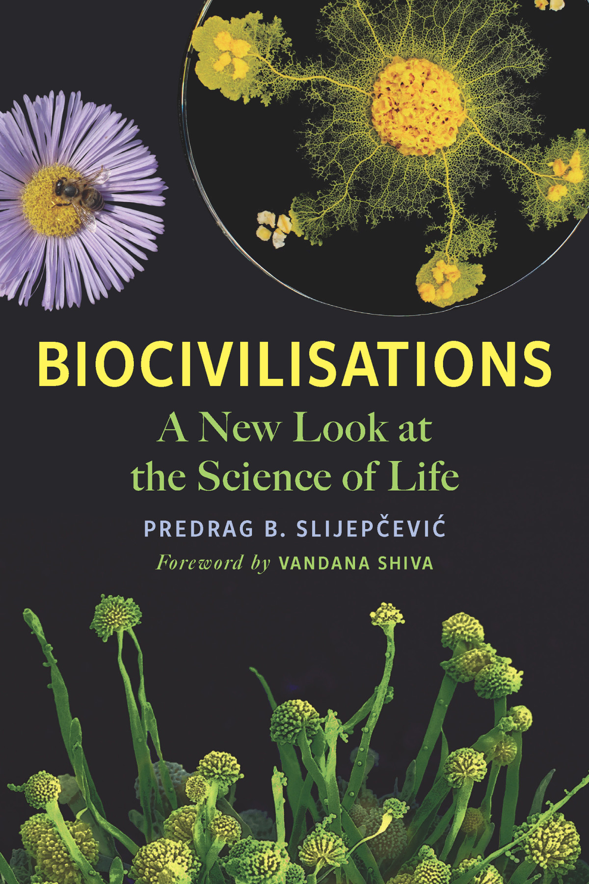 Biocivilisations A New Look At The Science Of Life Predrag B Slijepevi