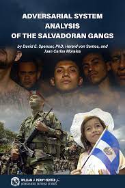 Adversarial System Analysis Of The Salvadoran Gangs 1st Edition Spencer