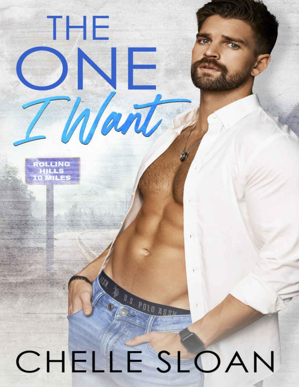 The One I Want A Single Dad Nanny Age Gap Small Town Romance Rolling Hills Book 1 Chelle Sloan