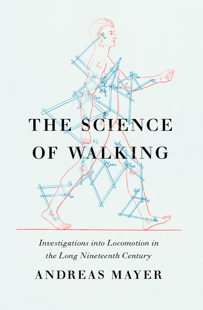 The Science Of Walking Andreas Mayer