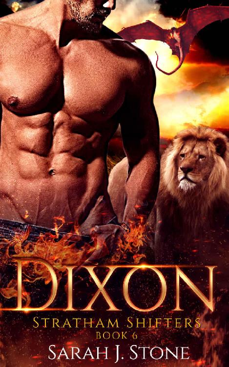 Dixon Stratham Shifters Book 6 Sarah J Stone