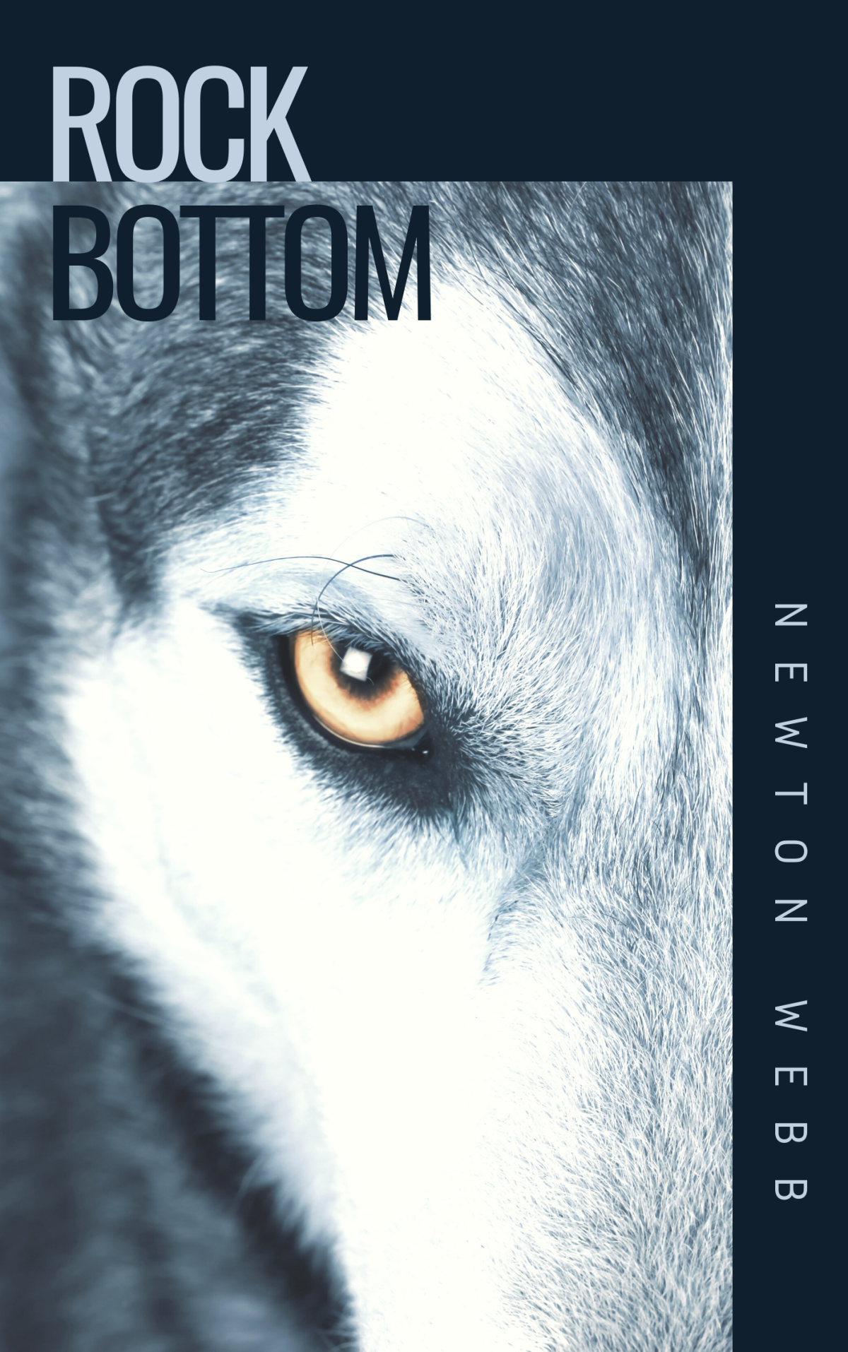 Rock Bottom Newton Webb
