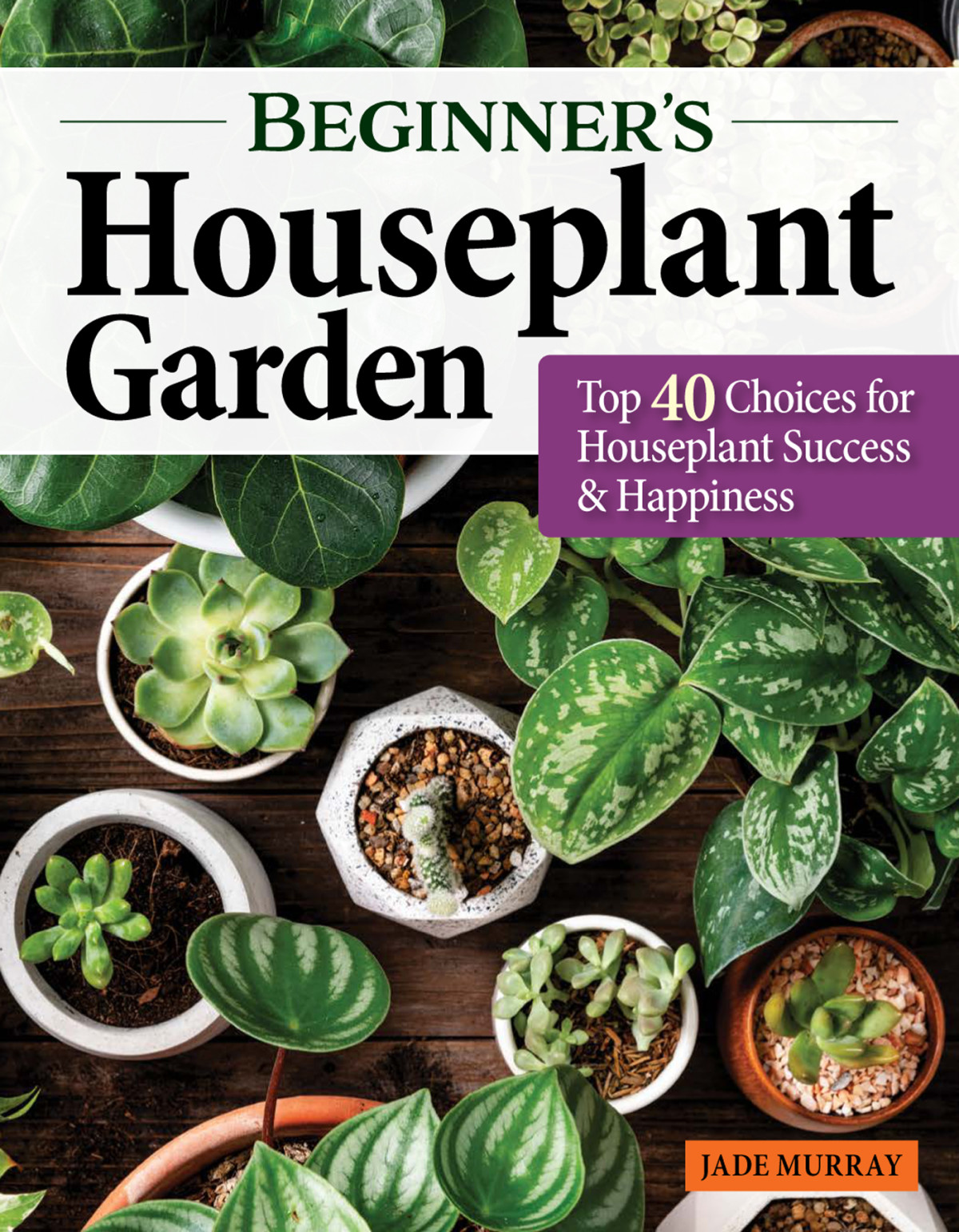 Beginners Houseplant Garden Top 40 Choices For Houseplant Success Happiness Jade Murray