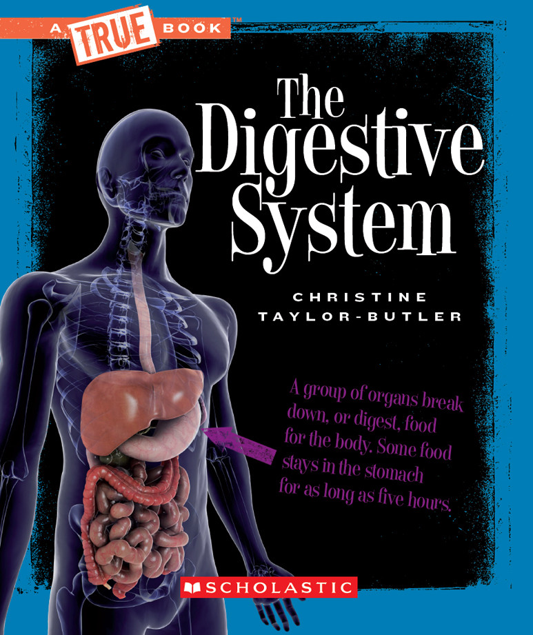 The Digestive System Christine Taylorbutler