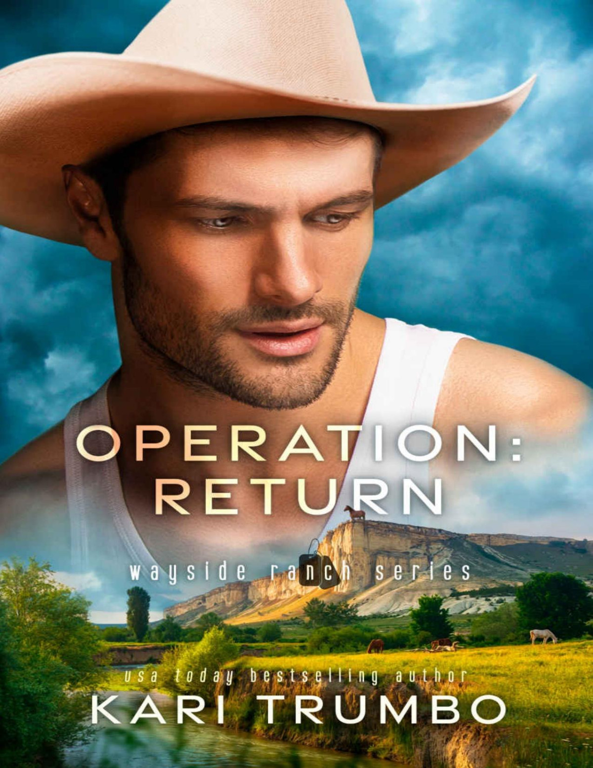 Operation Return Wayside Ranch Book 2 Kari Trumbo