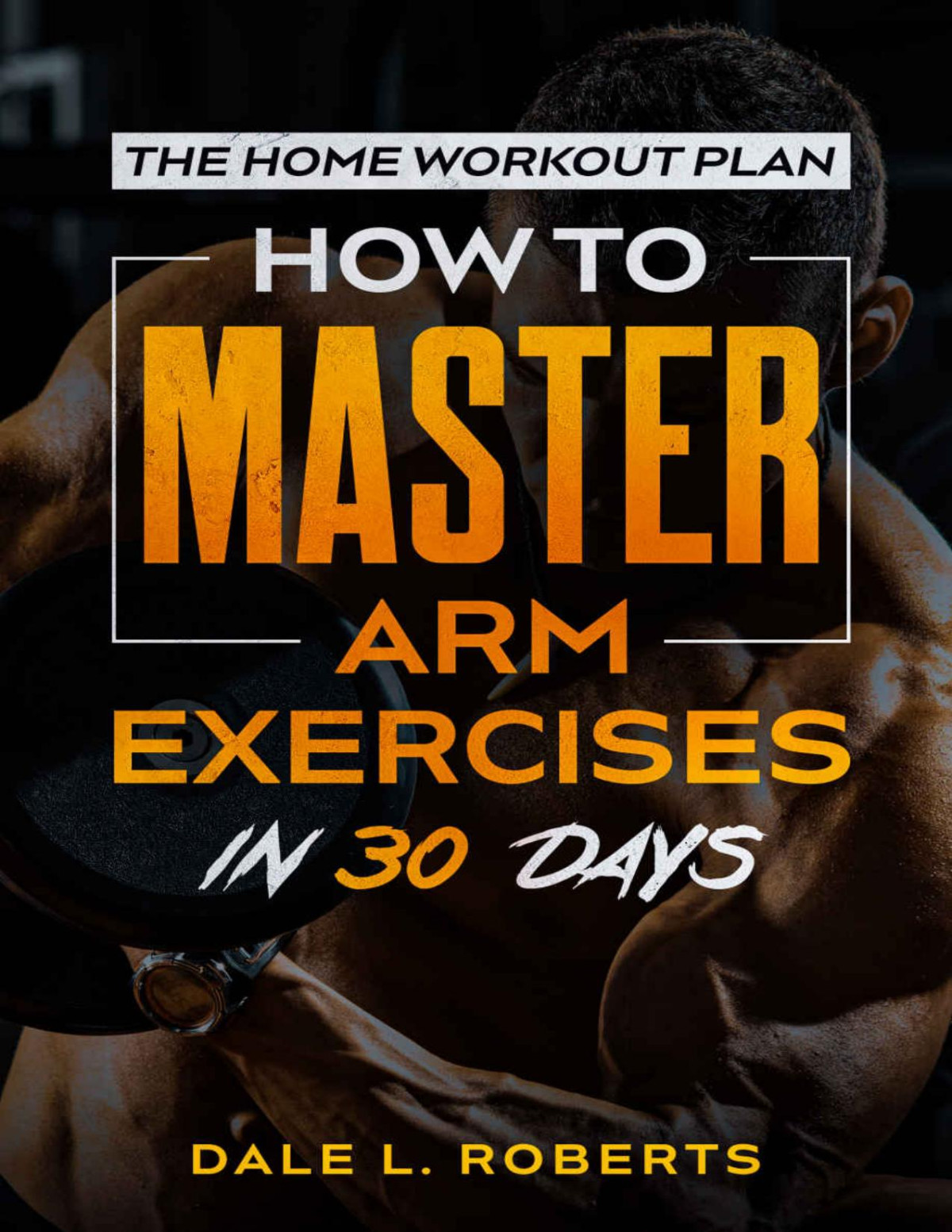 The Home Workout Plan Roberts Dale L