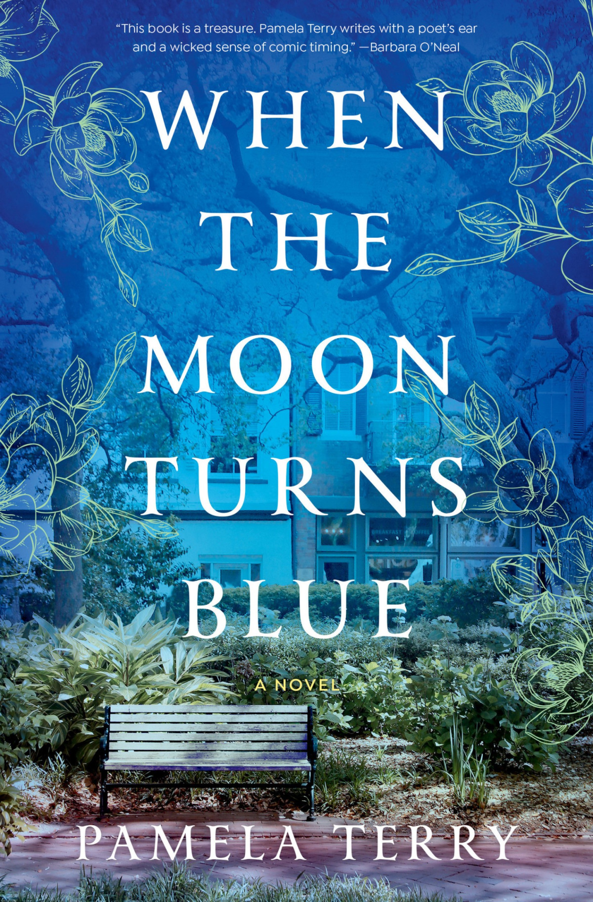 When The Moon Turns Blue A Novel Pamela Terry