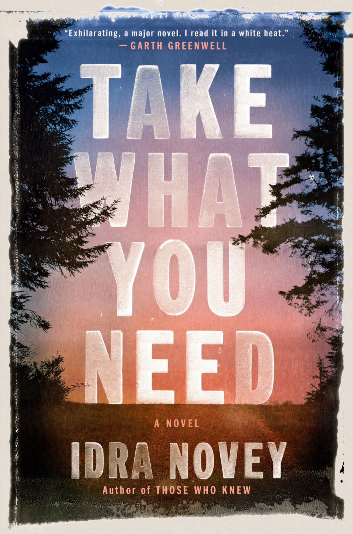 Take What You Need A Novel Idra Novey