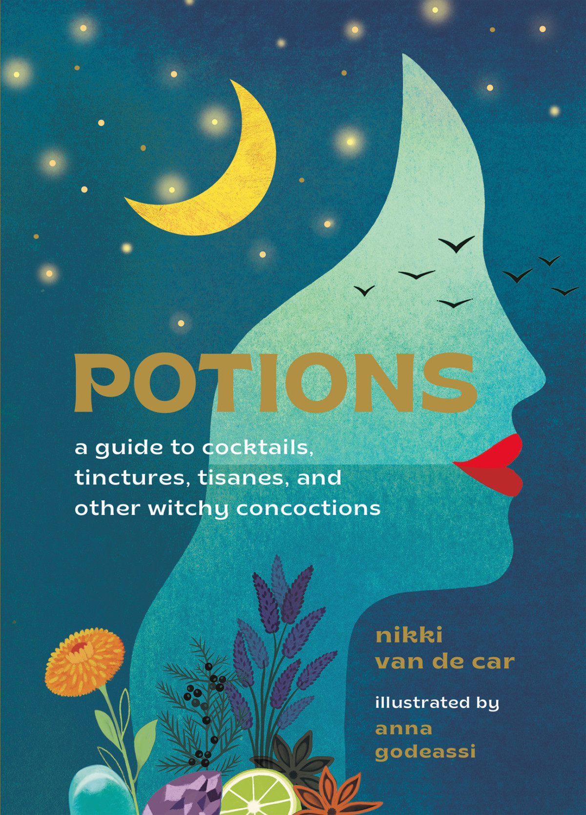 Potions A Guide To Cocktails Tinctures Tisanes And Other Witchy Concoctions Nikki Van De Car