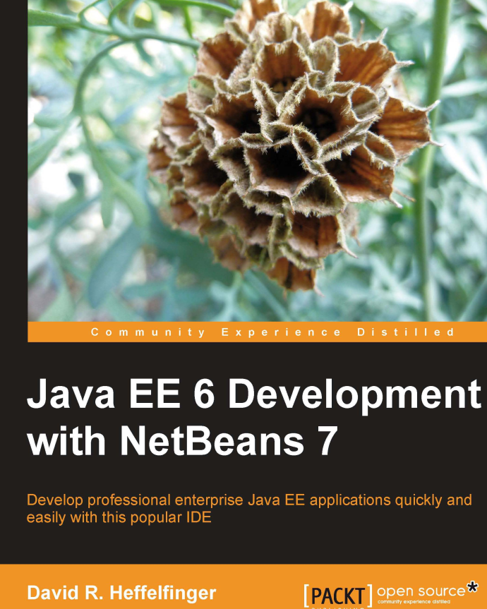 Java Ee 6 Development With Netbeans 7 David R Heffelfinger