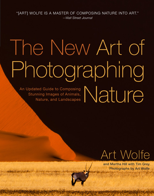 The New Art Of Photographing Nature An Updated Guide To Composing Stunning Images Of Animals Nature And Landscapes Art Wolfe