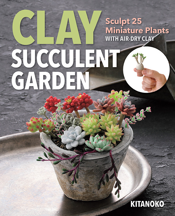 Clay Succulent Garden Sculpt 25 Miniature Plants With Airdry Clay Kitanoko