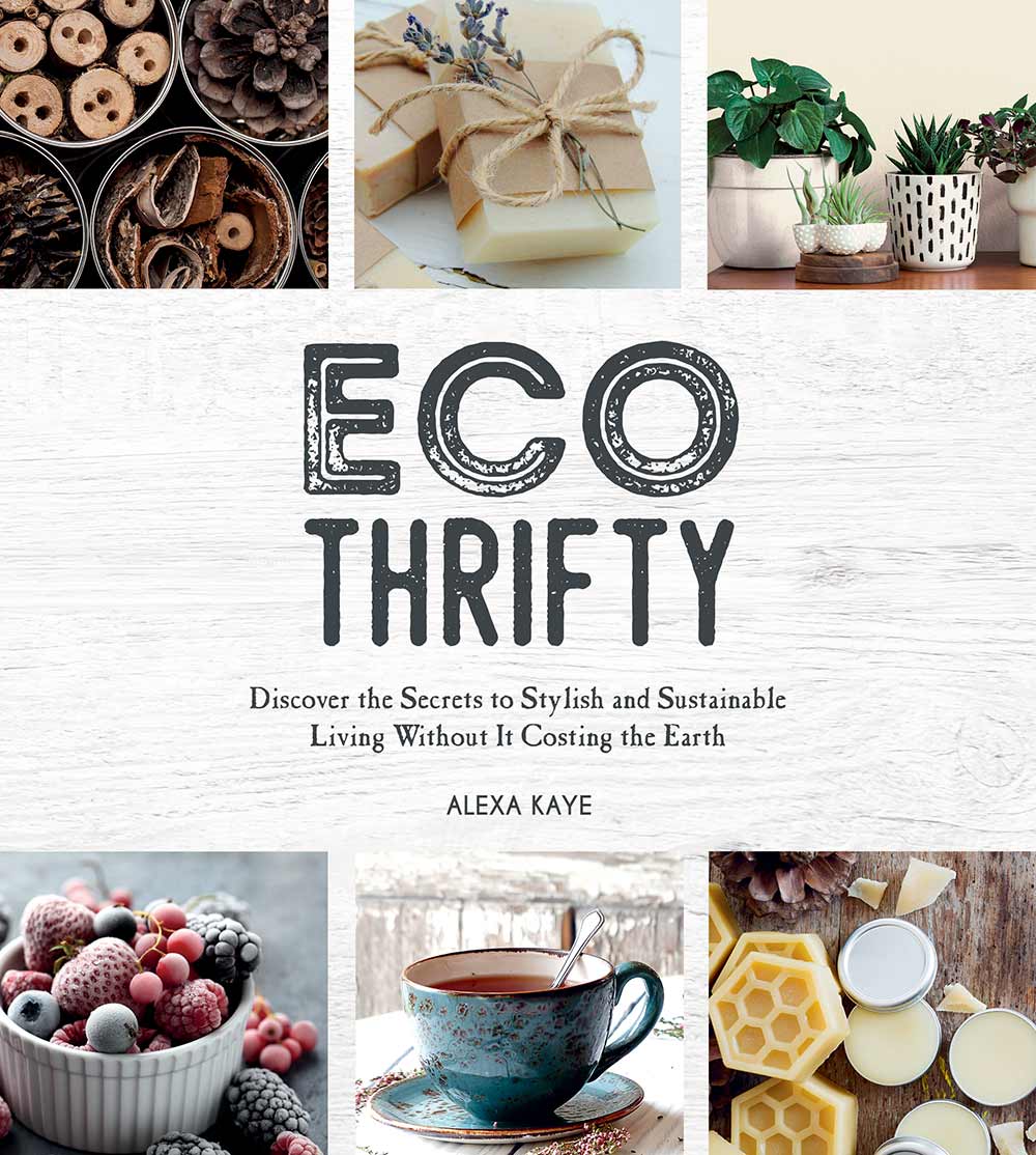 Ecothrifty Alexa Kaye