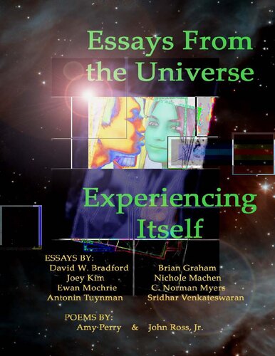 Essays From The Universe Experiencing Itself David Bradford