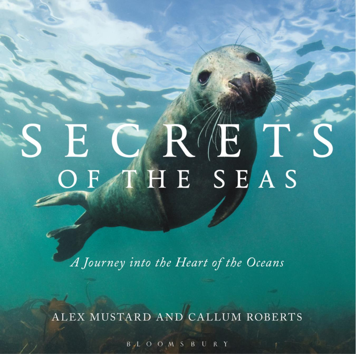 Secrets Of The Seas A Journey Into The Heart Of The Oceans Callum Roberts