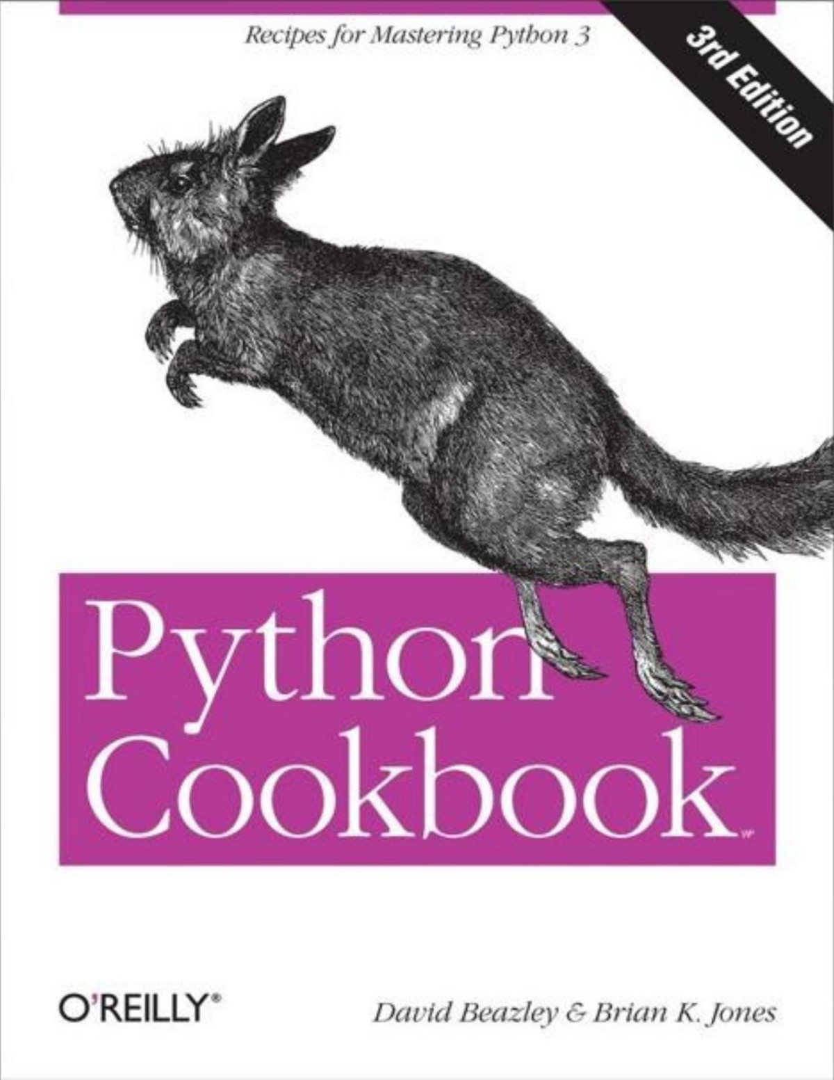 Python Cookbook David Beazley Brian K Jones