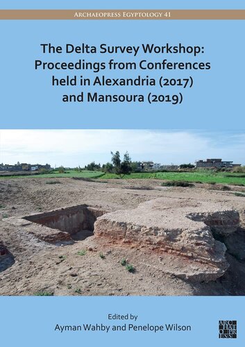 The Delta Survey Workshop Proceedings From Conferences Held In Alexandria 2017 And Mansoura 2019 Ayman Wahby Editor
