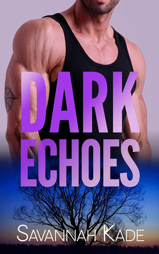 Dark Echoes Dark Falls Co Romantic Thriller Book 7 Savannah Kade D Falls