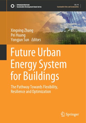 Future Urban Energy System For Buildings The Pathway Towards Flexibility Resilience And Optimization Xingxing Zhang