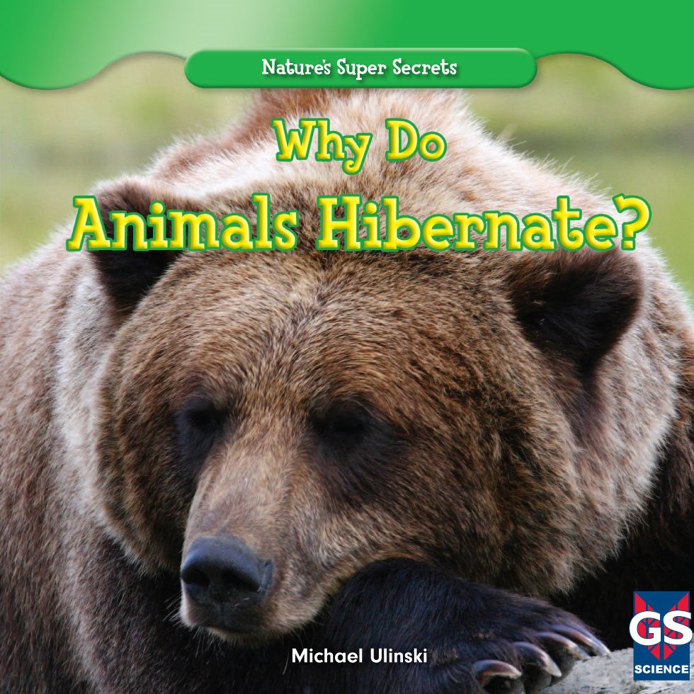 Why Do Animals Hibernate Michael Ulinski