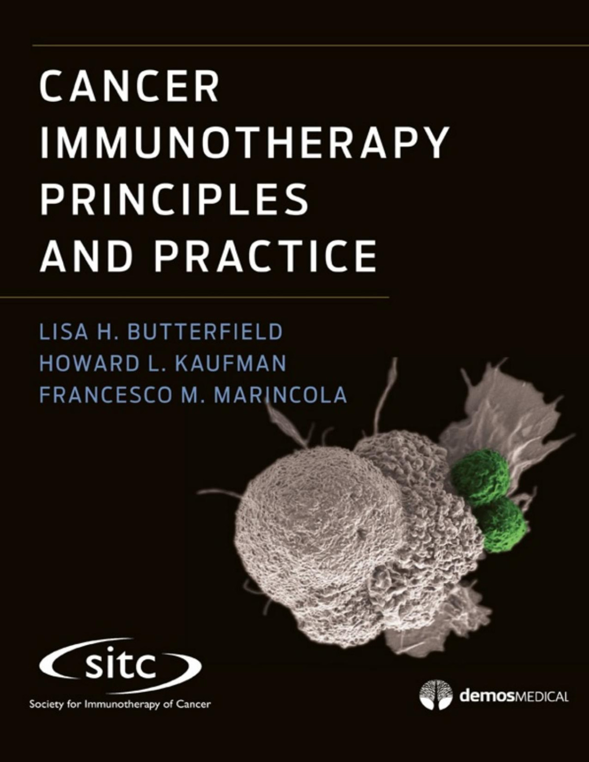 Cancer Immunotherapy Principles And Practice Lisa H Butterfield
