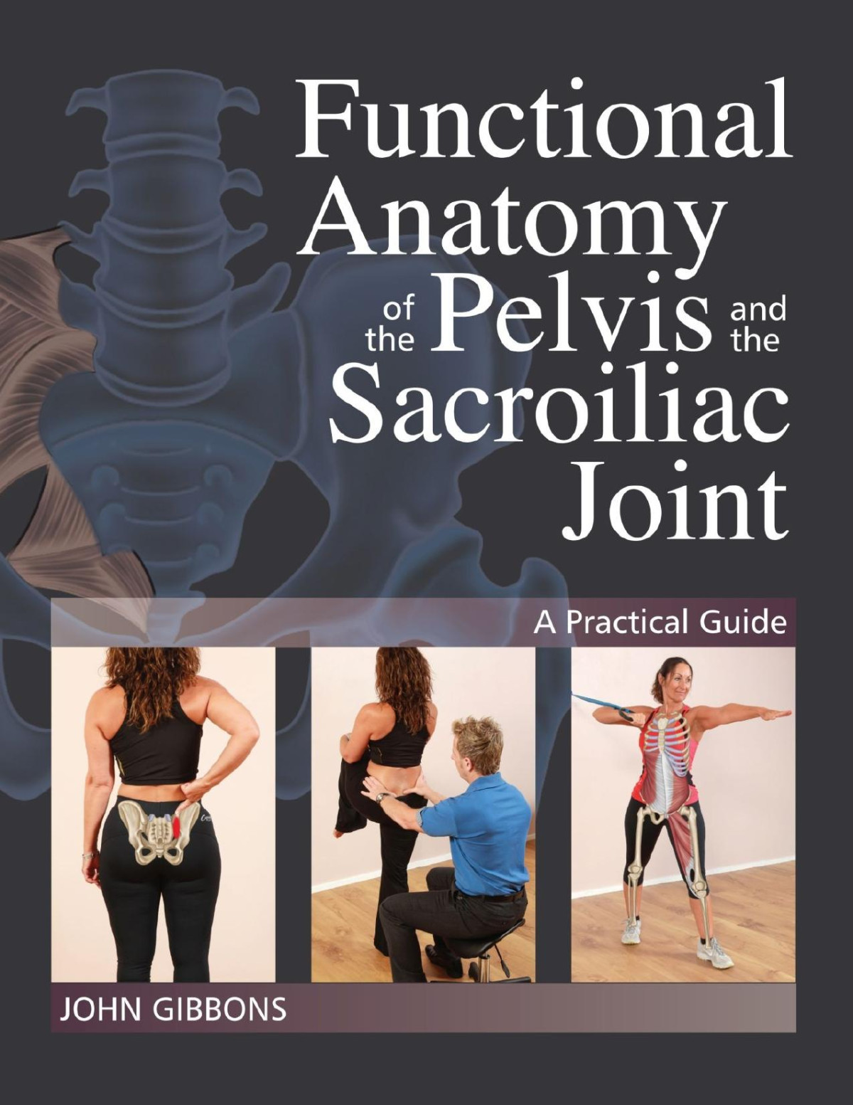 Functional Anatomy Of The Pelvis And The Sacroiliac Joint A Practical Guide John Gibbons