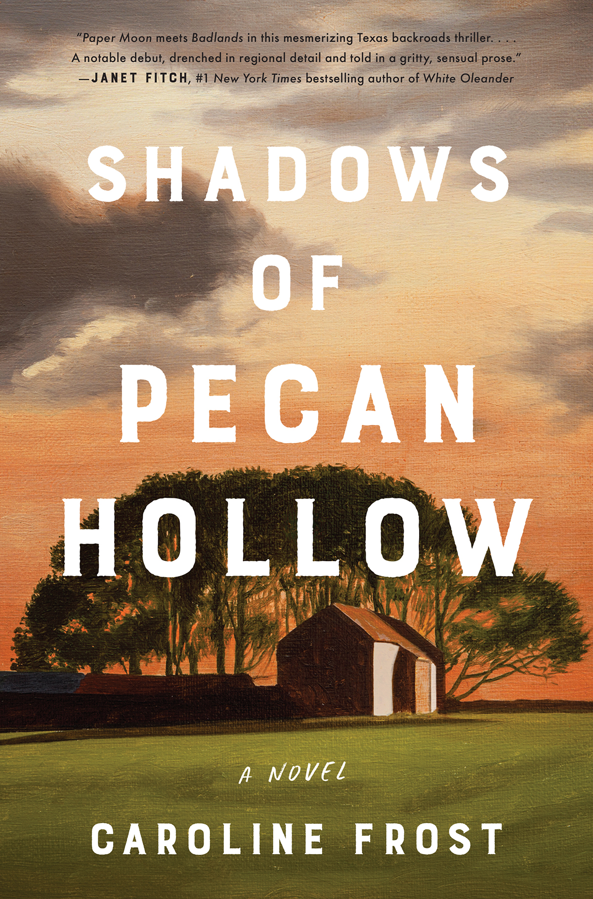 Shadows Of Pecan Hollow Caroline Frost