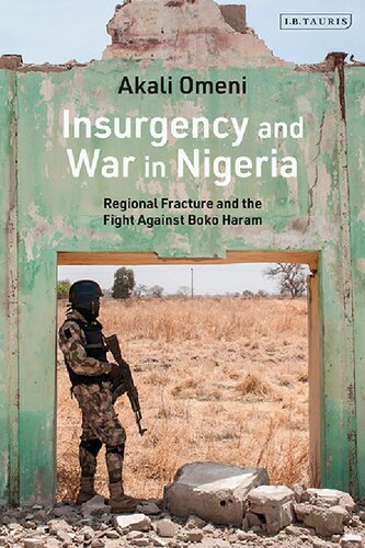 Insurgency And War In Nigeria Regional Fracture And The Fight Against Boko Haram Akali Omeni
