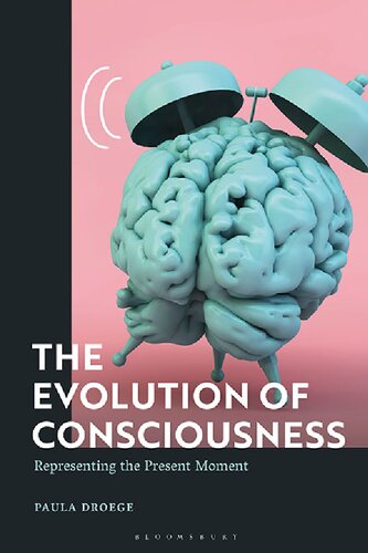 The Evolution Of Consciousness Representing The Present Moment Paula Droege