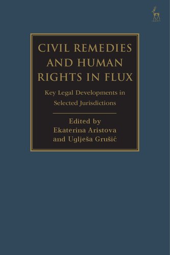Civil Remedies And Human Rights In Flux Key Legal Developments In Selected Jurisdictions Ekaterina Aristova Ugljea Grui Editors