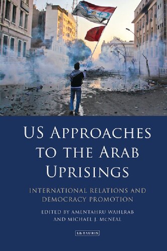Us Approaches To The Arab Uprisings Amentahru Wahlrab Michael J Mcneal