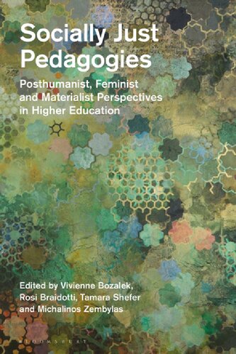 Socially Just Pedagogies Posthumanist Feminist And Materialist Perspectives In Higher Education Vivienne Bozalek Rosi Braidotti Tamara Shefer Michalinos Zembylas Editors