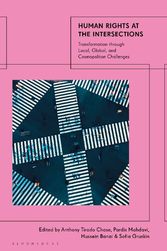 Human Rights At The Intersections Transformation Through Local Global And Cosmopolitan Challenges Anthony Tirado Chase Pardis Mahdavi Hussein Banai Sofia Gruskin Editors